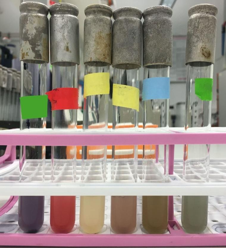 Various colors are created in the laboratory with the help of microorganisms